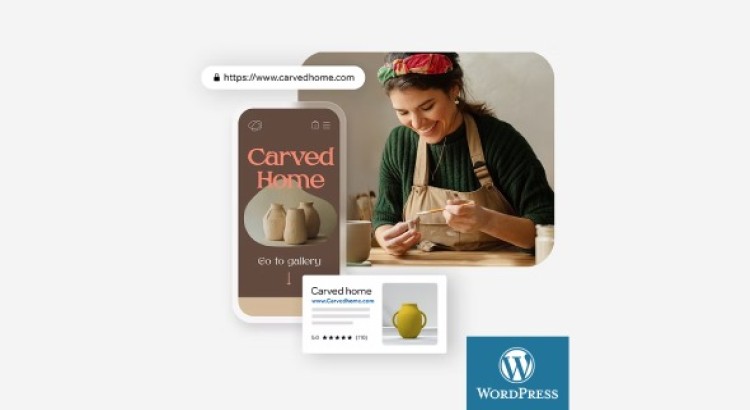 Professional WordPress Site Problem Evaluation + Viable Solution Recommendation